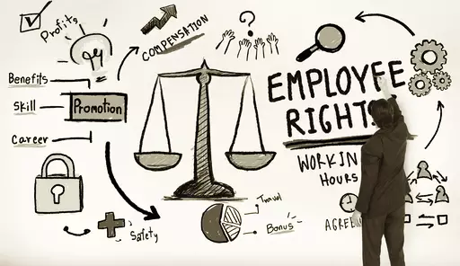 top Delhi employment law new delhi India